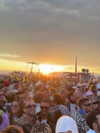 daniel_shallom Altpins Profile Picture