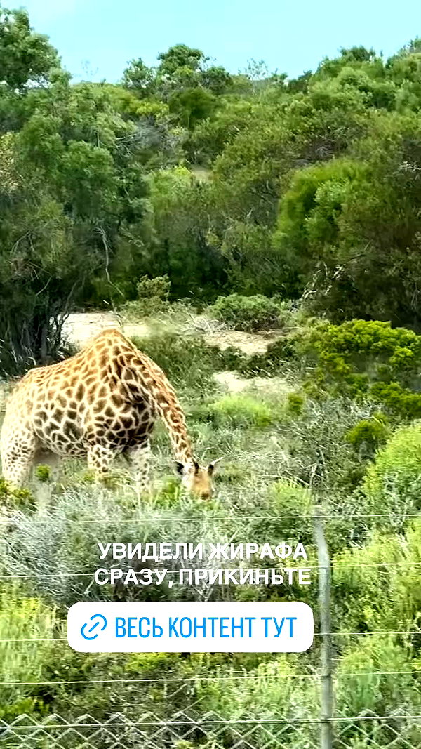 pokrov90 archive video preview