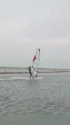 surfsterre Altpins Profile Picture