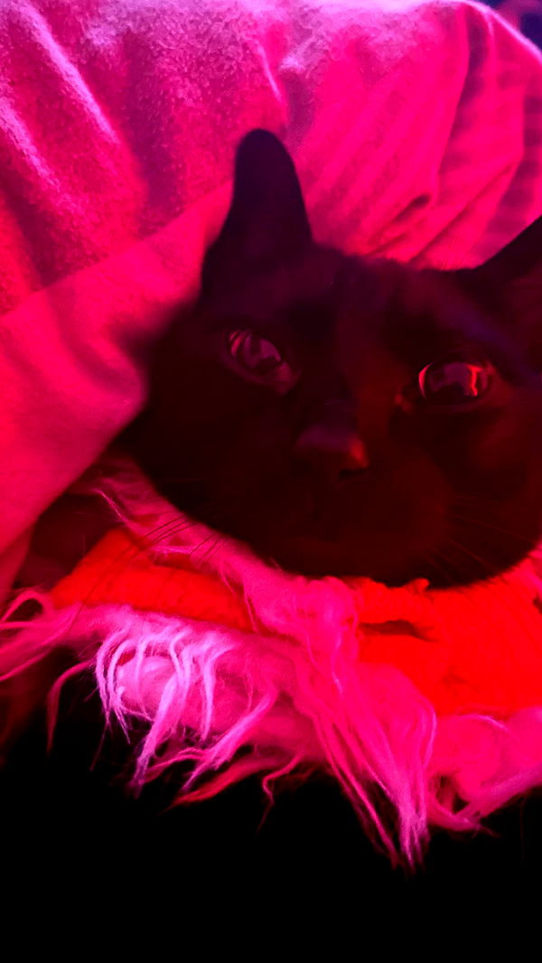 feelbetterinmysweater archive video preview