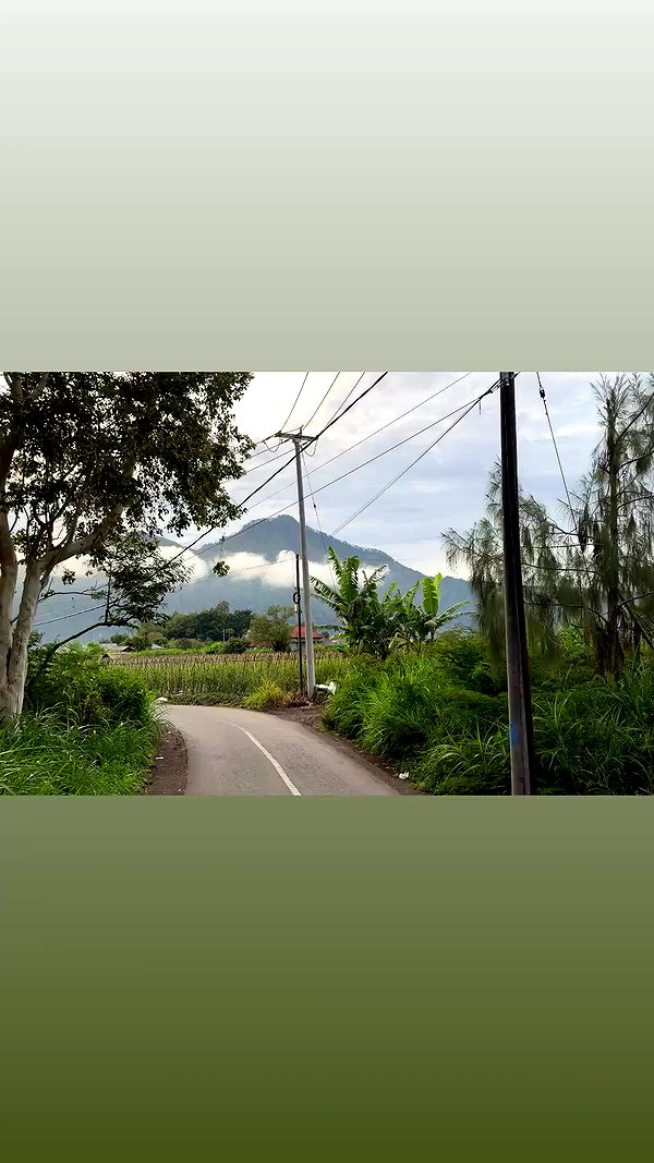 taylor.creeden archive video preview