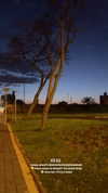 mishel_d_ Altpins Profile Picture