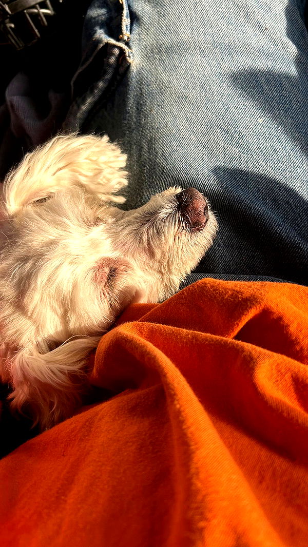 feelbetterinmysweater archive video preview