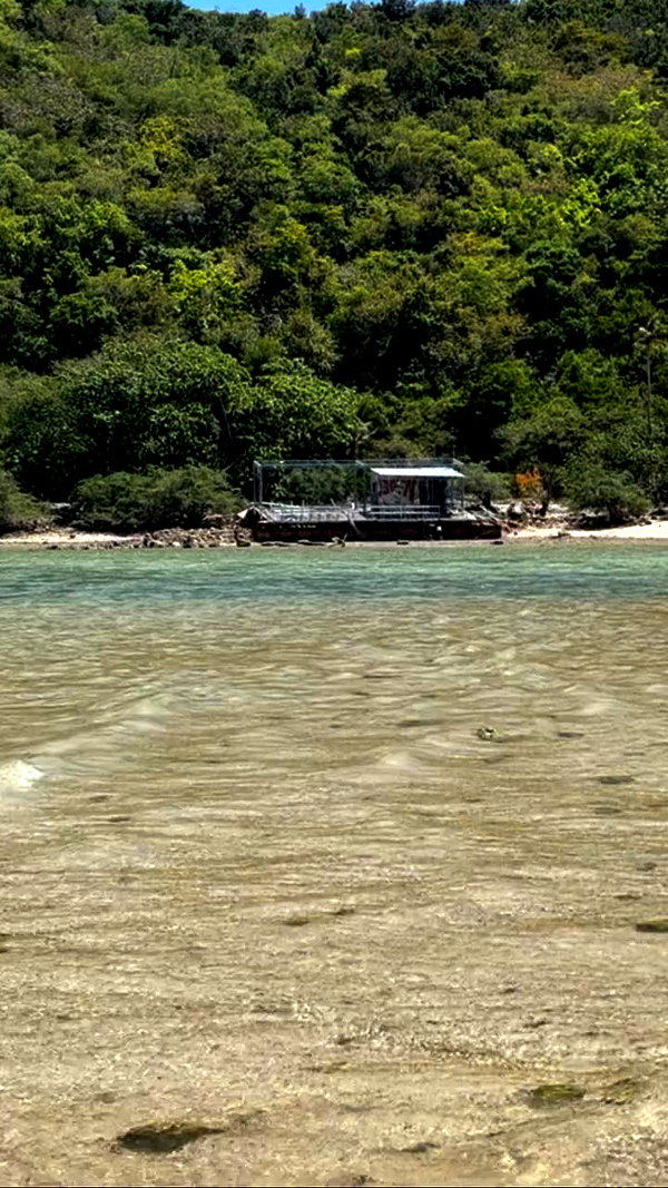 elia.shinar archive video preview