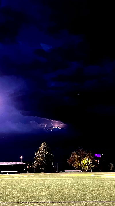 thelizzyporter thelizzyporter archive video