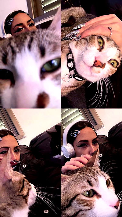 dustheadd dustheadd archive video