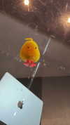 lana.monaaaa Altpins Profile Picture