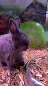 feelbetterinmysweater Altpins Profile Picture