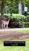 elizabethcampbelljones Altpins Profile Picture