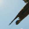 rouxroux.tv Altpins Profile Picture