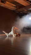 suspiria.em Altpins Profile Picture