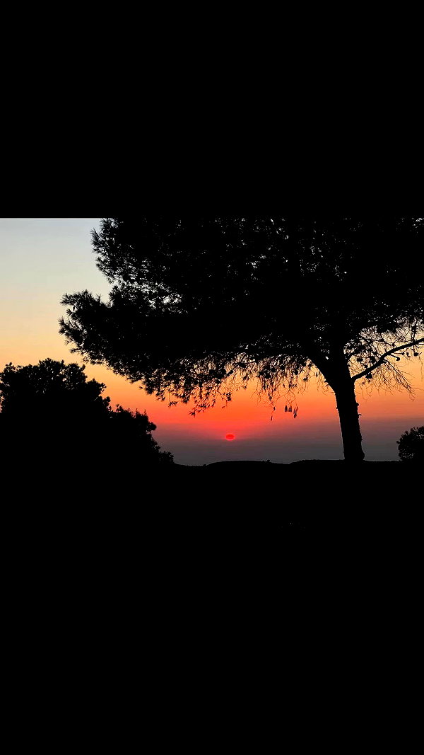 _b__eva__ archive video preview
