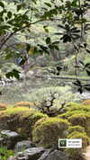 kasumi_sen Altpins Profile Picture