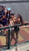 jasminxie2 Altpins Profile Picture