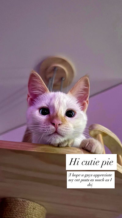 tatum.ricee tatum.ricee archive video