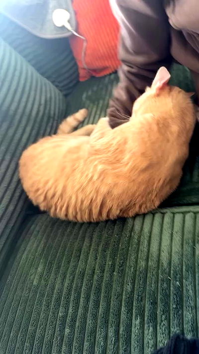 ronyida_ ronyida_ archive video