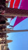 _lironatias Altpins Profile Picture