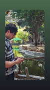 yannaidebeer Altpins Profile Picture