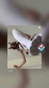 _tero._ Altpins Profile Picture