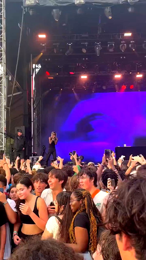 suzynorthway archive video preview