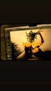 ruth_chavarri Altpins Profile Picture