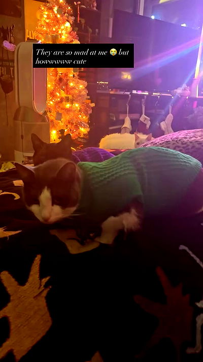 tatum.ricee tatum.ricee archive video