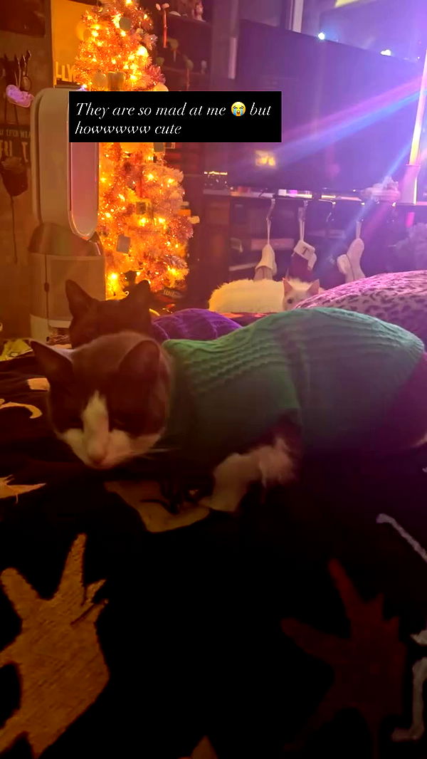 tatum.ricee archive video preview