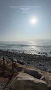 solzarubin_ Altpins Profile Picture