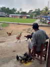 mishell.lindaflor Altpins Profile Picture