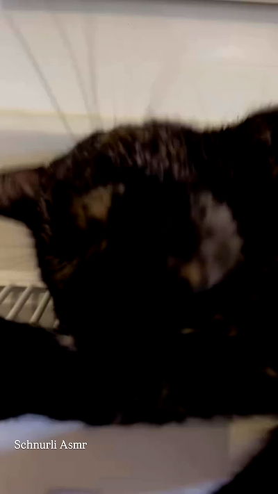 manjolamuriqi manjolamuriqi archive video