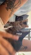 ronyida_ Altpins Profile Picture