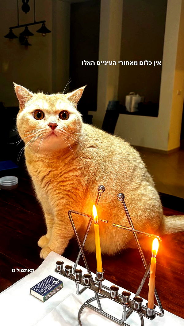 bbyerikss archive video preview