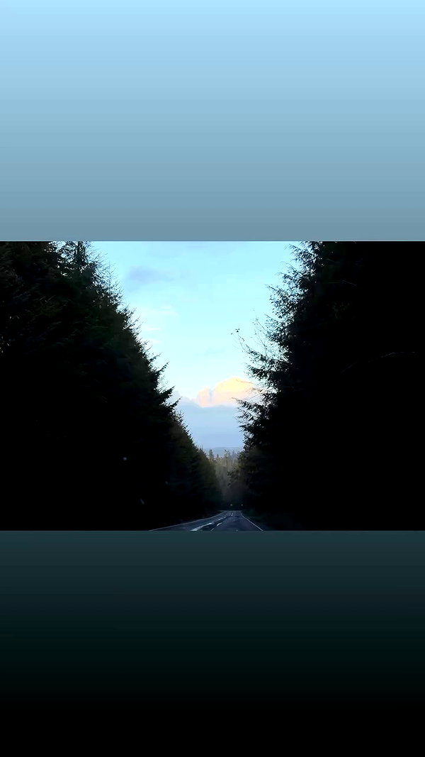 taylor.creeden archive video preview