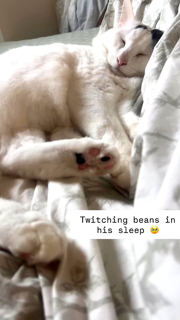 peachmilky_ archive video preview