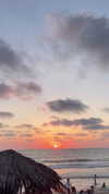 sonia_litvanchuk Altpins Profile Picture