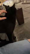 dante_yangpa Altpins Profile Picture