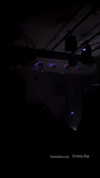 lotembar Altpins Profile Picture