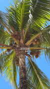 biancanataliie Altpins Profile Picture