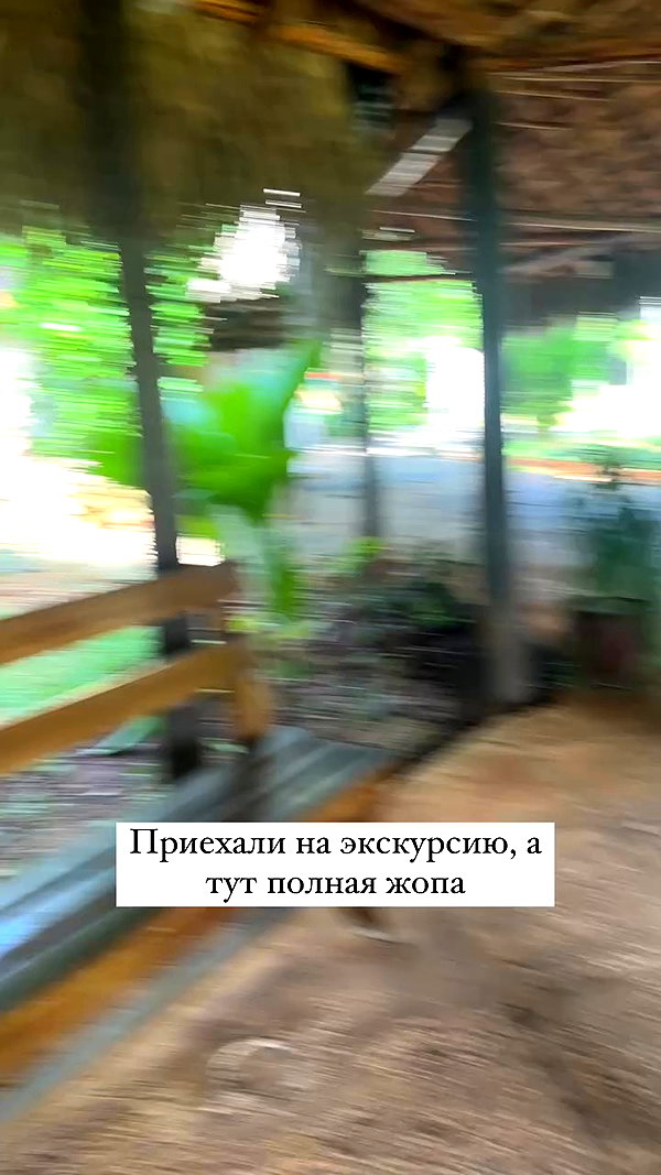 enikeeva_aliya archive video preview