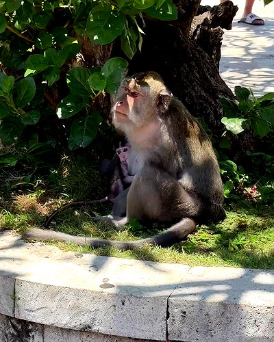 taylor.creeden taylor.creeden archive video