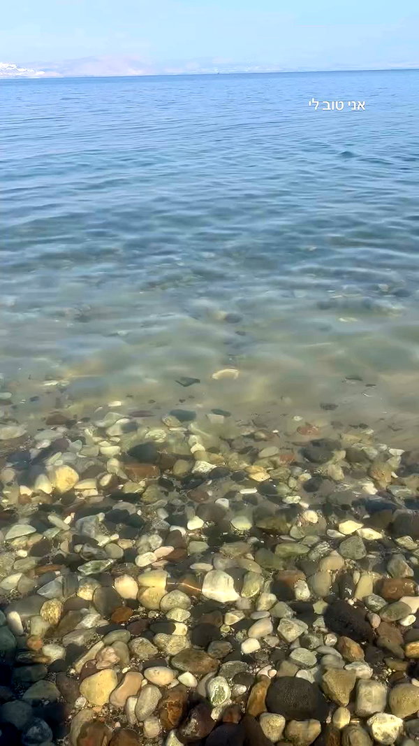 michal_cohen017 archive video preview