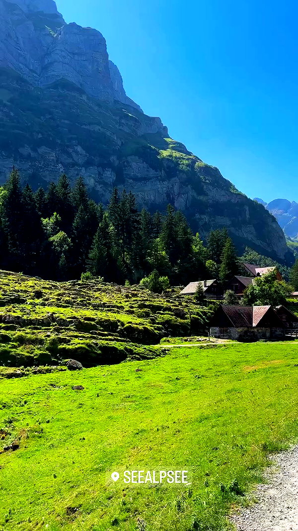 swfx_real archive video preview