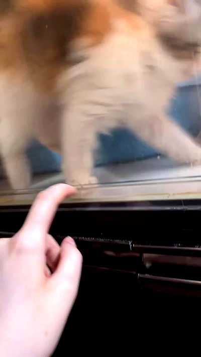 silkton silkton archive video