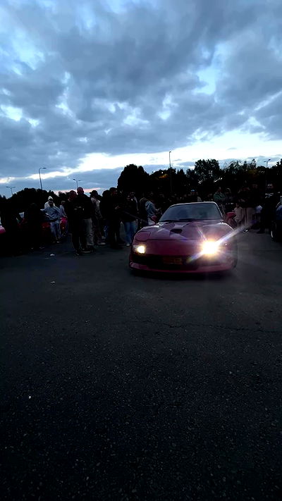 simp_for_cats_ simp_for_cats_ archive video