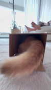 itsilanosh Altpins Profile Picture