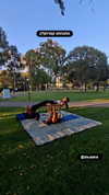 shayli_or Altpins Profile Picture