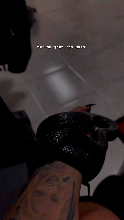 rebecka_tsadok rebecka_tsadok archive video