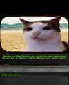 catl0verr69 Altpins Profile Picture