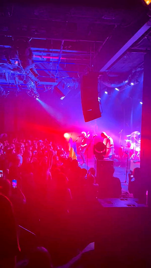 _allvi.pansk archive video preview