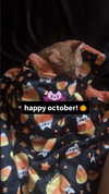 butter.on.a.poptart69 Altpins Profile Picture